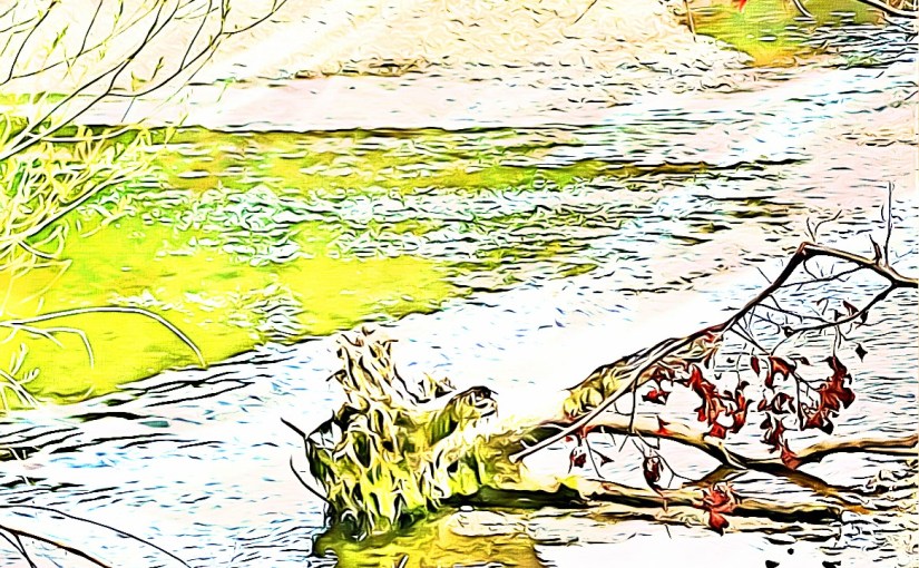 A Call for&nbsp;Harmony