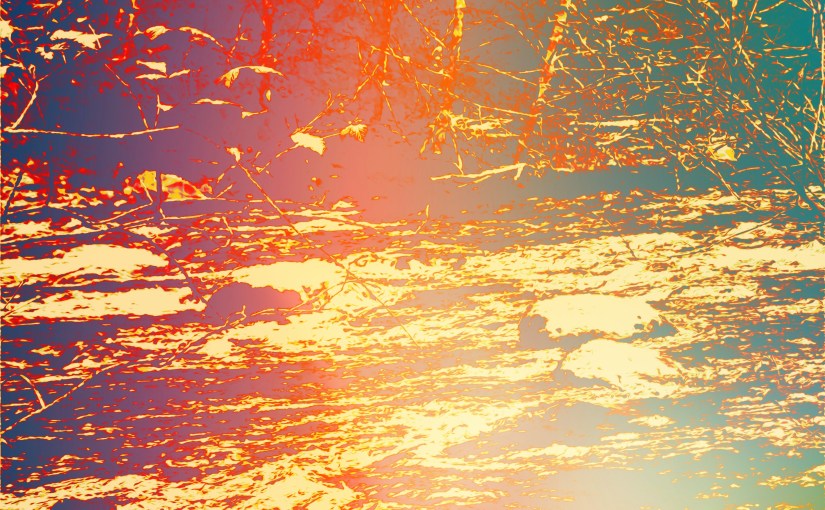 Water (Haiku and Free&nbsp;Verse)