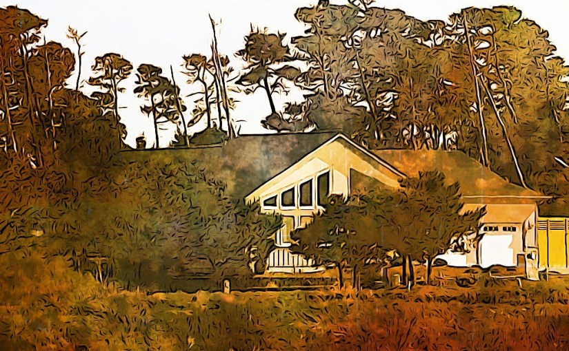 Early (Hidden) Roots