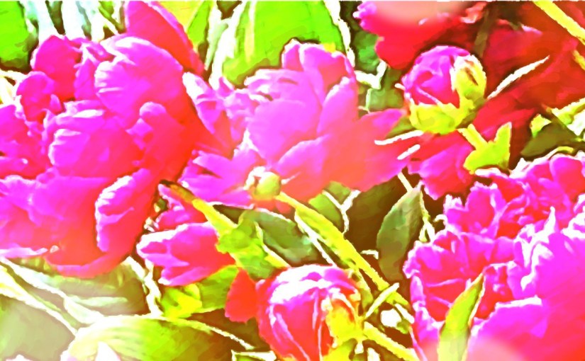 Gratitude for dVerse