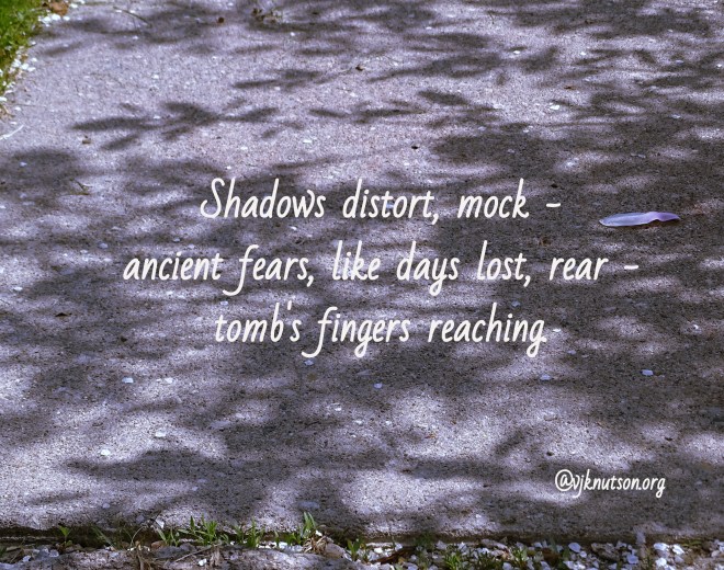 treeshadowpoem