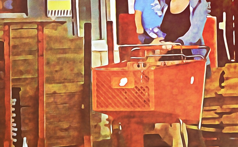 Freak Show’s in&nbsp;Town