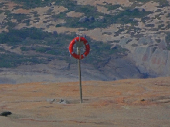 The Lady Calls&nbsp;It