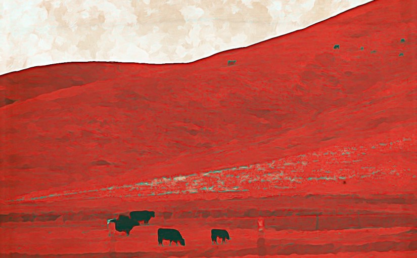 Of Flow and&nbsp;Fear