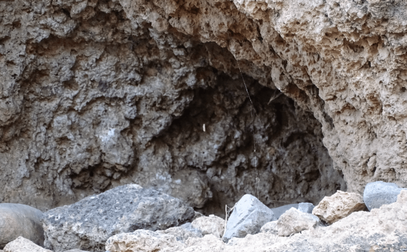 Accustomed to the&nbsp;Dark