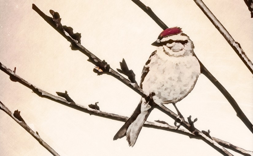 I’d Finish This Poem,&nbsp;but…