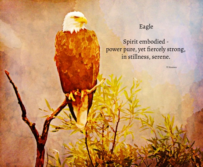Eagle haiku