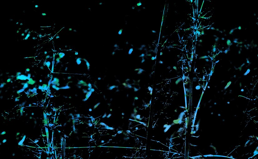 It Is In the Darkest&nbsp;Hour…