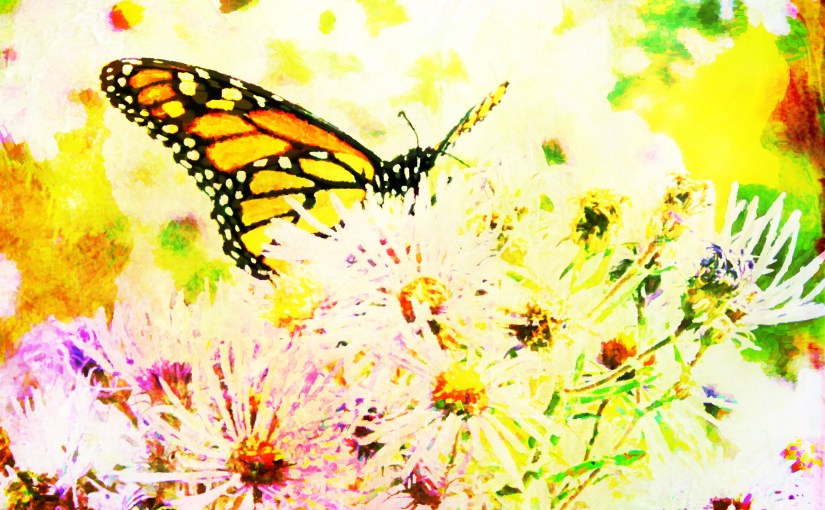 Growth Is Not&nbsp;Placid