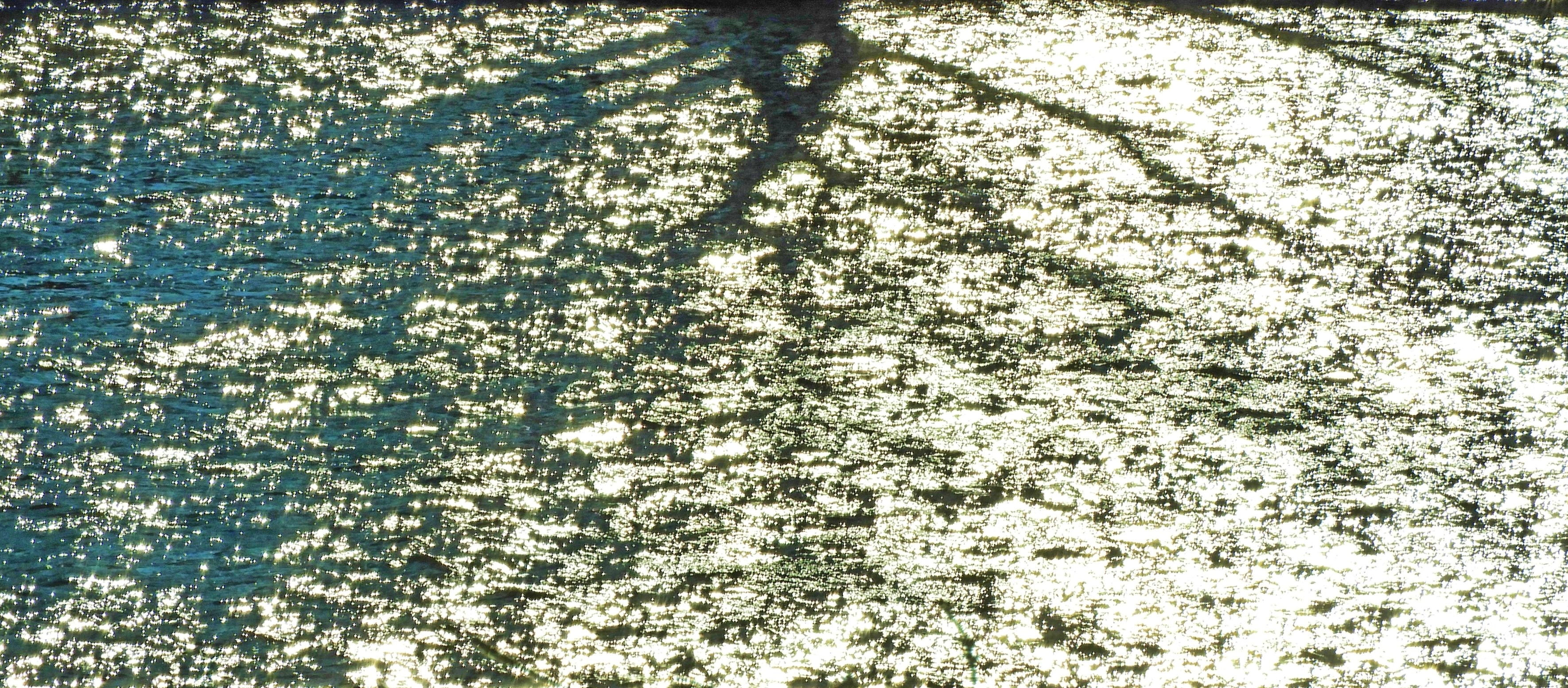 Tree reflection on icy river copy