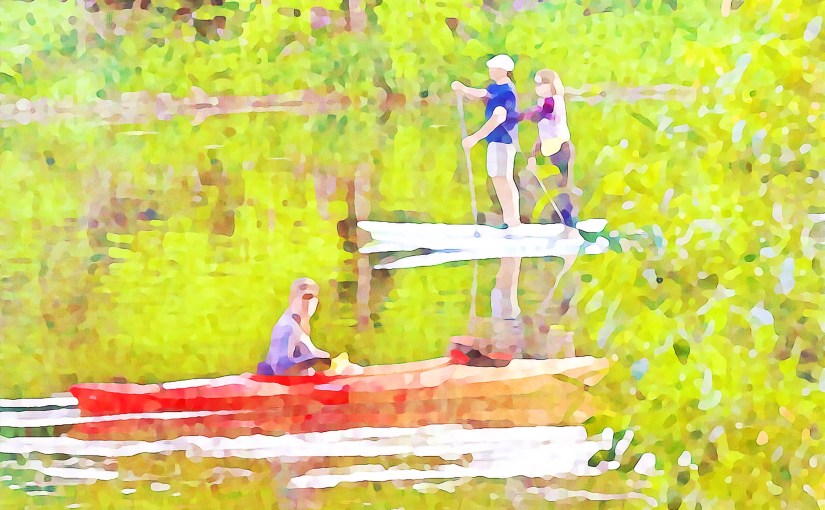 A Convertible Summer