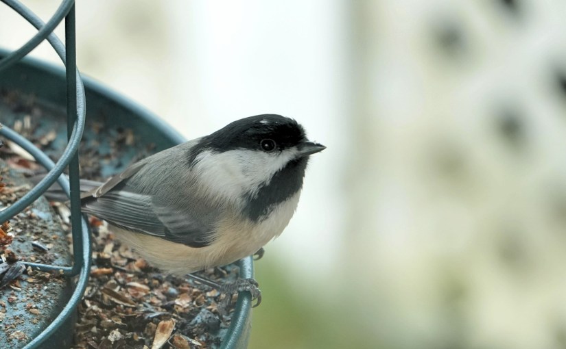 In 2021, I Woke&nbsp;Up