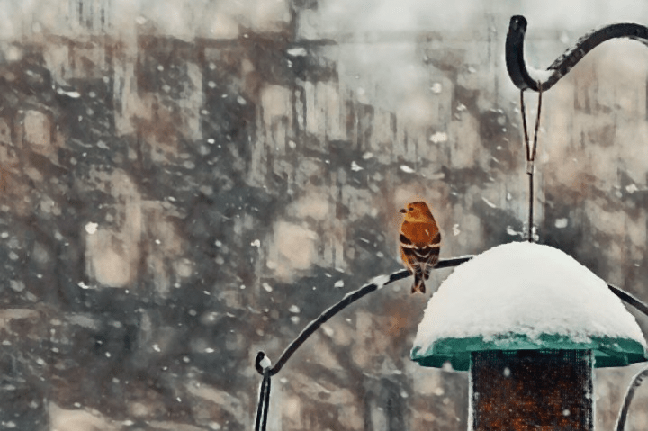 Not All Wins Are&nbsp;Monetary