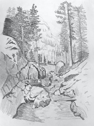 Colourless Expressions