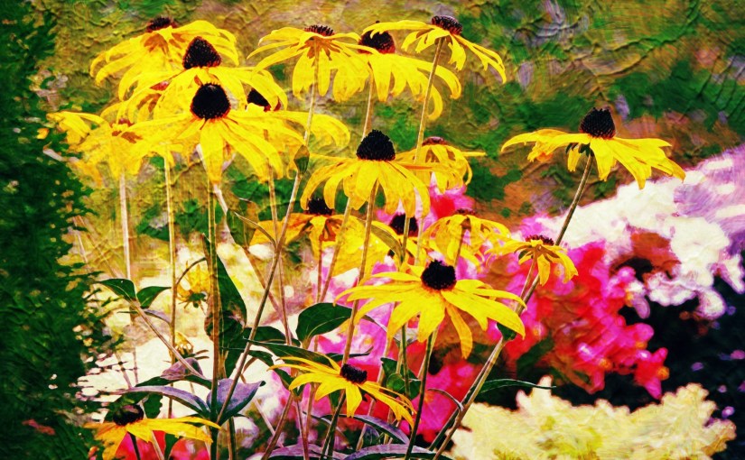 Garden Magic (Haiku)