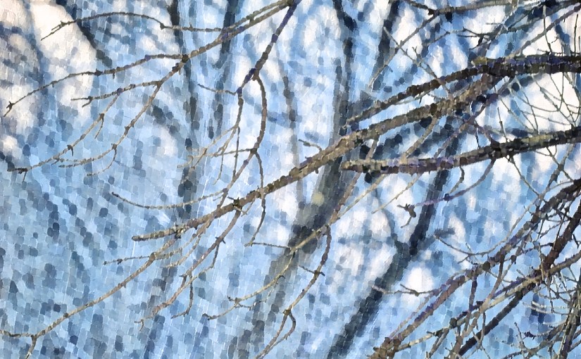 Death in the Family&nbsp;(tanka)