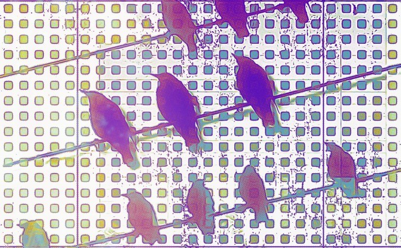 A Bird’s Eye&nbsp;View