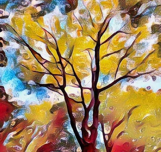 Life is Like&nbsp;This