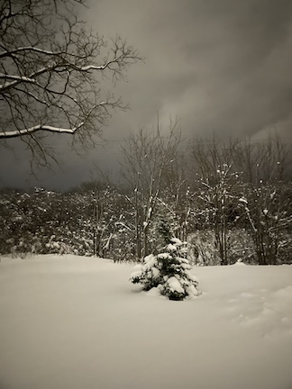 Light in the&nbsp;Night