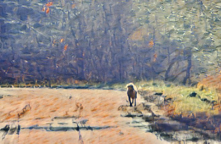 Collared and Distant